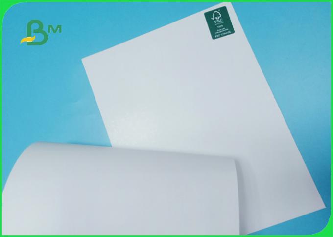 300gsm FSCはよい証明しま光沢のある折る紙箱用厚紙をロールで印刷します