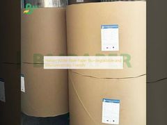 自然 白い 聖書 紙 生物分解 環境に優しい