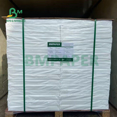 防水 120gm PP 合成紙 広告用 バナー 57 x 29cm 耐久性