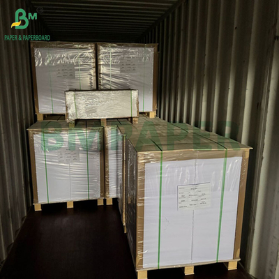 240gm 260gm 白色 プリント可能なカップ紙 700mm 800mm