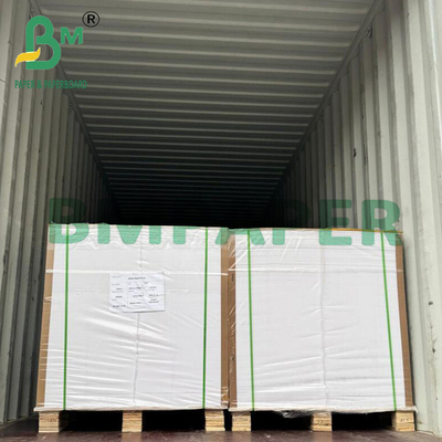 250g 65cm x 92cm 硬さ良好 ブローシャー用 輝く美術用紙