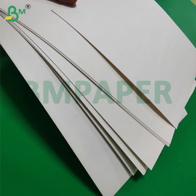 200g 230g 中性紙 水彩紙 製図用 210 x 297mm クリアテクスチャ