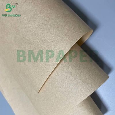 Degradable Food Grade Kraft Paper Roll 20gsm - 50gsm for Coffee Filtering