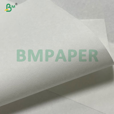 50gsm Unbleached  Air Permeability Coffee Filter Paper In Roll Coffee Filters