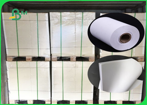 FSC 53GSM - 160GSM純粋な木材パルプのオフセット ペーパー大きい純白70 * 100CM