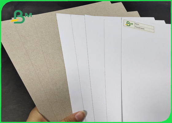 200 / 証明されるSGS及びFSCとの灰色の背部等級AAの幅1250mmの230gr C1S