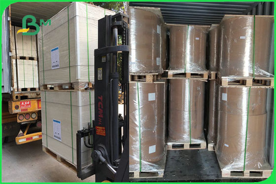 FSCのFDA 300gsmの象牙は1つの側面ペーパ ボールのための白板のPE GC1のペーパーに塗りました