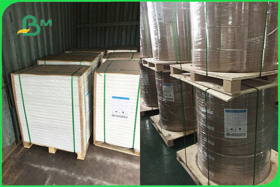 承認される使い捨て可能な版FSCのFDAのためのカスタマイズされた単一の側面のPEの塗被紙