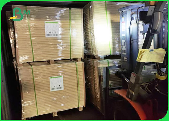 食品等級のPEは1つの側面Cupstockのペーパー210gペーパー10g PEに塗った