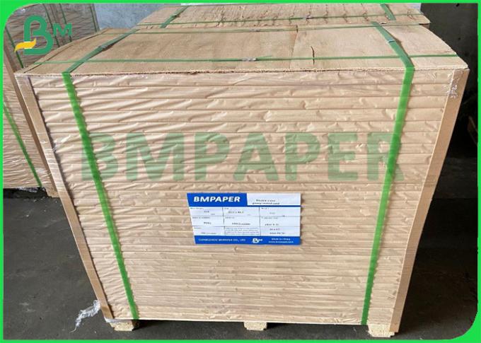 白人の背部折る板