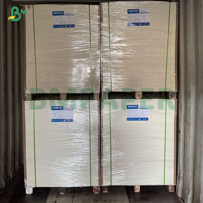 白熱耐性 片面PEコーティングカップストック紙