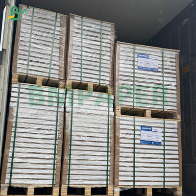 40gsm 耐高温カップケーキオーブンベーキングペーパー 小さなケーキ用シート