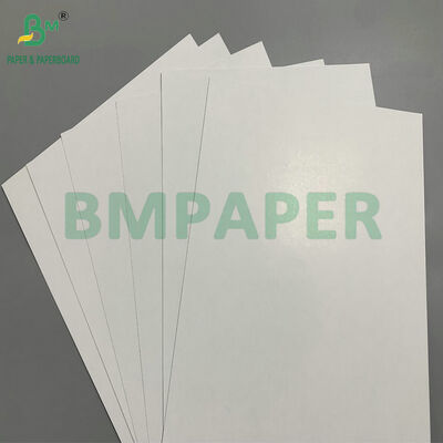 310gm 高密度 スナッププレミアム ブルーコア プレイカード