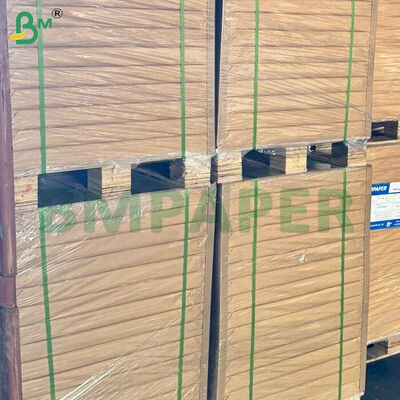 50gm 油性食品用パン紙ロール 787mm ロール幅