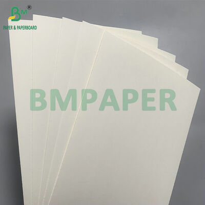 生物分解性・マイクロ波安全紙板 サラダ用使い捨て鉢を作る