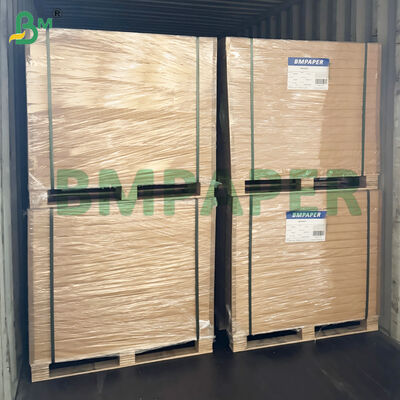 電子レンジ対応 食品用紙 皿、カップ用 耐切創性