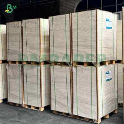High Stiffness PE Laminated Paper For Disposable Hot Soup Noodle Bowl Printable