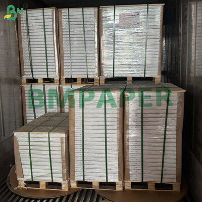 150gm 160gm 半透明紙 招待状用 耐涙型 A0 A1