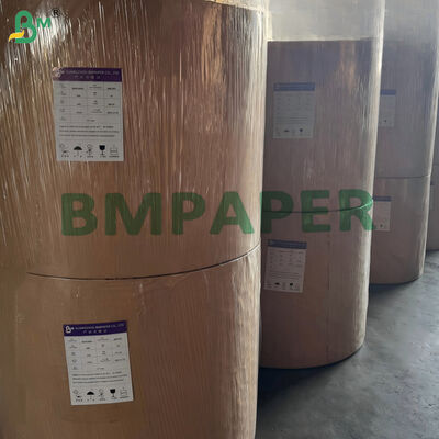 170gm 190gm 水性単層カップストック紙 堆肥性 650mm