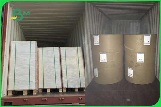 FSCのFDAの習慣を作るコップのための白い食糧安全なFBB板15g PEの塗被紙