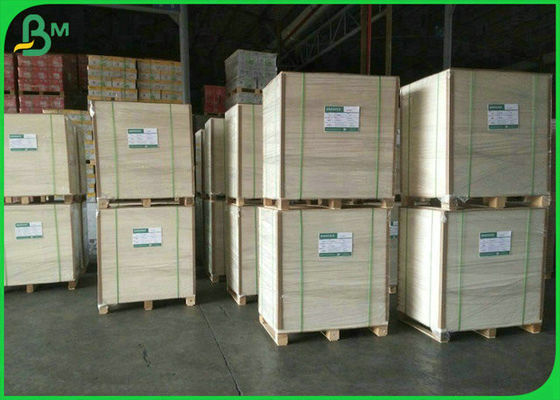 食糧箱のための90% 800mm 900mmの純白190g 210g 250gの食品等級のアイボリー紙
