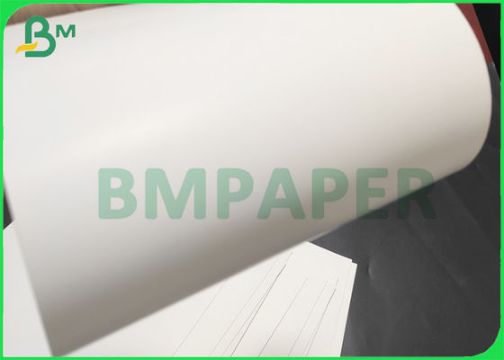 食品包装のための高いバルク白人の背部折る板GC1 295gsm