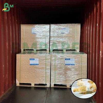 白いチキン飼育用紙 鶏飼育用紙 66cm 100cm