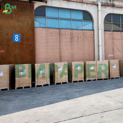 カップケーキの包装用 粘りしない カラフルな Greaseproof パーガメント マフィン 包装用 紙