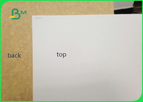 450gsm FSCはパッキングのための粘土によって塗られたクラフトの背部食品等級のペーパー ロール/白いはさみ金のペーパーを証明しました