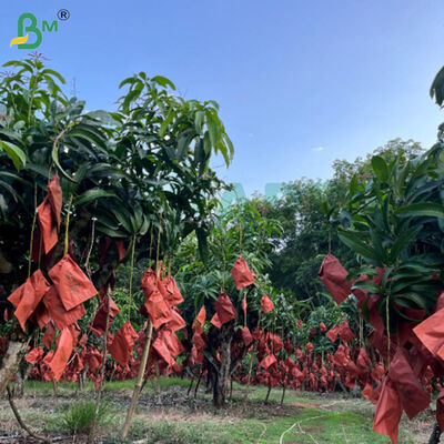 56g シングルサイドワックス レッド&ブラック紙 マンゴー栽培用袋 耐天候果物保護紙