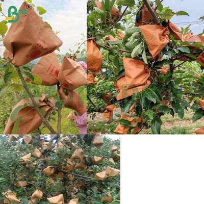 赤外紙 果物包装用紙 リンゴ包装用紙 56gm ワックス化されていないリンゴ包装紙