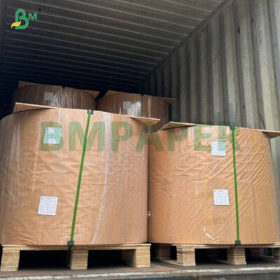 40gsm カラフルな食品グレードカップケーキベーキングペーパーロール