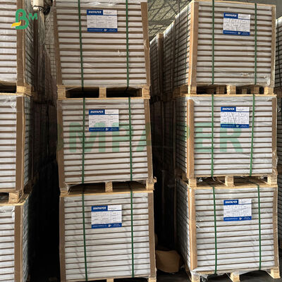 耐油性ホワイトコーヒーイエローグリーンカップケーキライナーマフィンベーキング用ペーパー