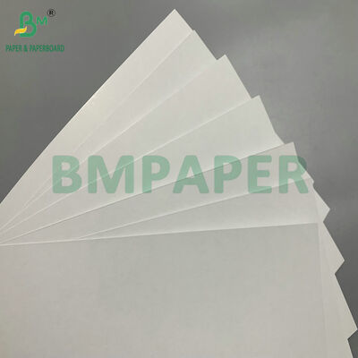 310gm 高密度 スナッププレミアム ブルーコア プレイカード