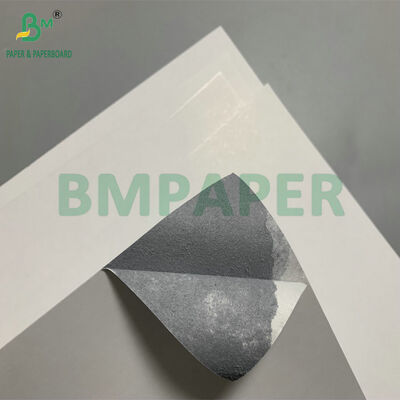 310gm 高密度 スナッププレミアム ブルーコア プレイカード