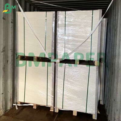 PETコーティング 食器用紙 材料 白色 食品用紙