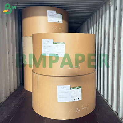 PETコーティング 食器用紙 材料 白色 食品用紙