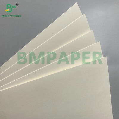 生物分解性・マイクロ波安全紙板 サラダ用使い捨て鉢を作る