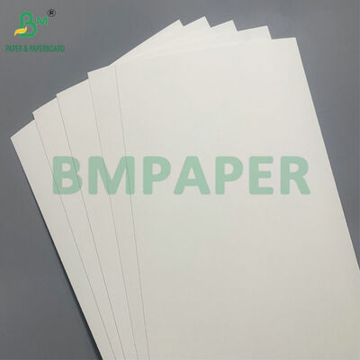 生物分解性・マイクロ波安全紙板 サラダ用使い捨て鉢を作る