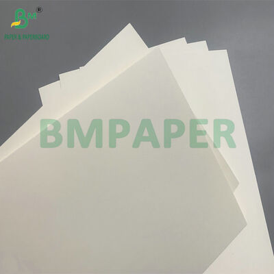 生物分解性・マイクロ波安全紙板 サラダ用使い捨て鉢を作る