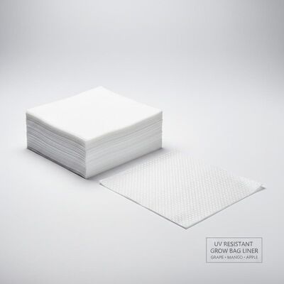 紫外線耐性ブドウ マンゴー アップル 成長 バッグ 紙 内層 ライン