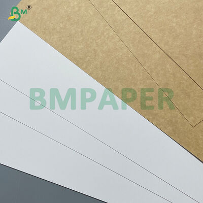240g - 300g Tear Resistance Clay Coated With Natural Brown Paperboard CCKB 
