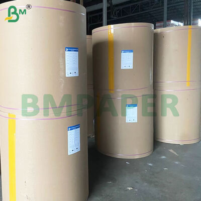 PET Coated Food Grade Plate/Bowl Paper Rolls Heat Resistant