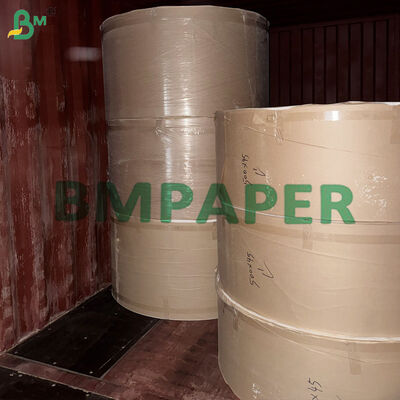 高散布 クリーム 本印刷紙 20lb 債券紙 大型紙