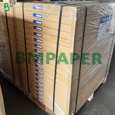 高散布 クリーム 本印刷紙 20lb 債券紙 大型紙
