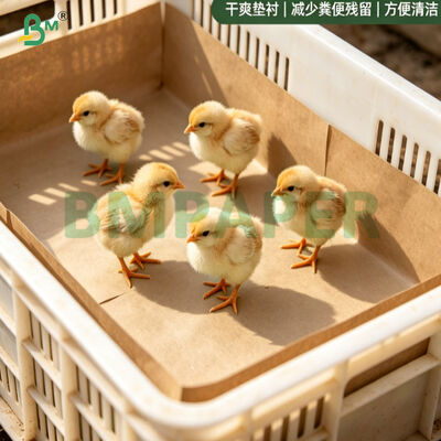 75gm ブラウン チキン紙 100% リサイクル 生物分解性 羽毛まぶた 羽毛まぶた 羽毛まぶた 羽毛まぶた 羽毛まぶた