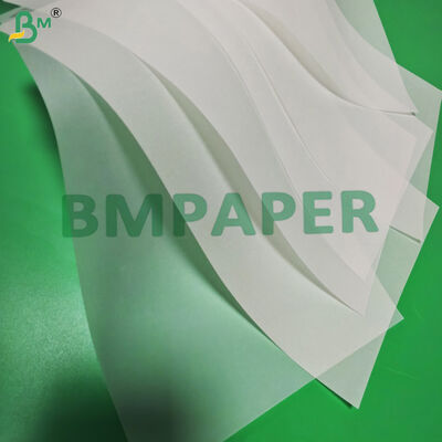 150gm 160gm 半透明紙 招待状用 耐涙型 A0 A1