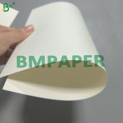 片面水性塗工カップストック プラスチックフリー 170-320g 白
