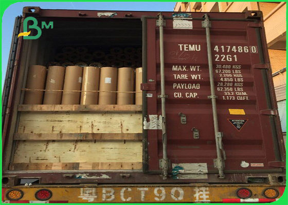 オイル証拠/湿気の防止の作図装置ペーパー ロール化学パルプのタイプ