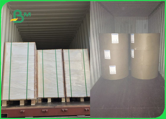 250gsm 270gsm 300gsm白いC1Sのアイボリー紙の折目1の側面は証明されたFSCに塗りました